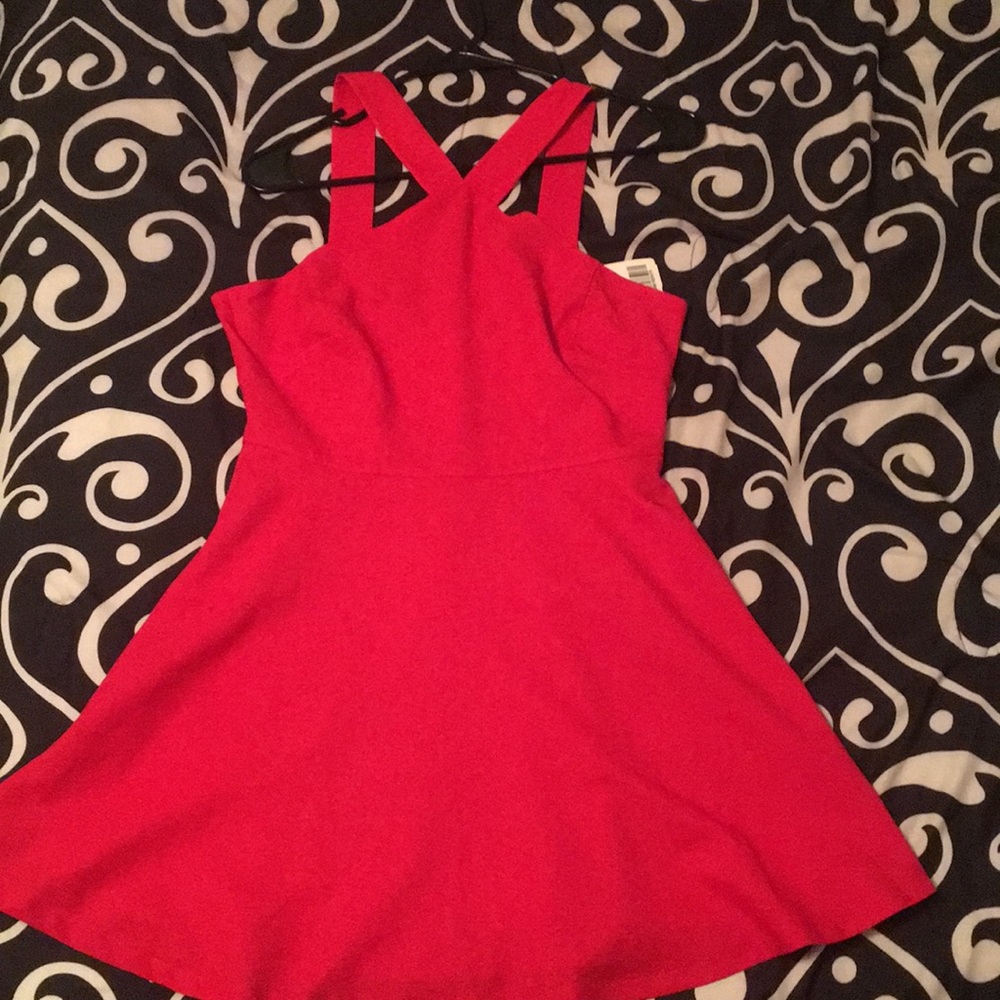 Forever21 Red Skater Dress